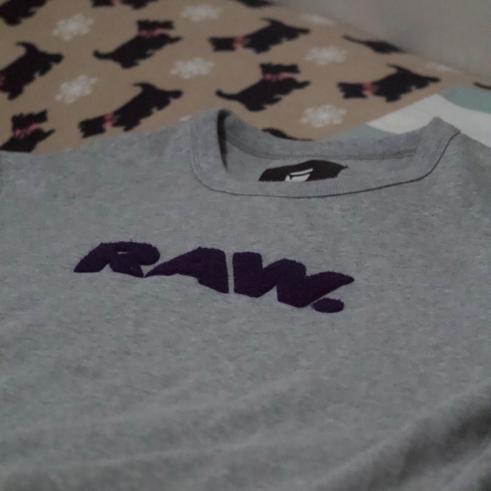 G Star heather gray sweatshirt purple colored RAW.